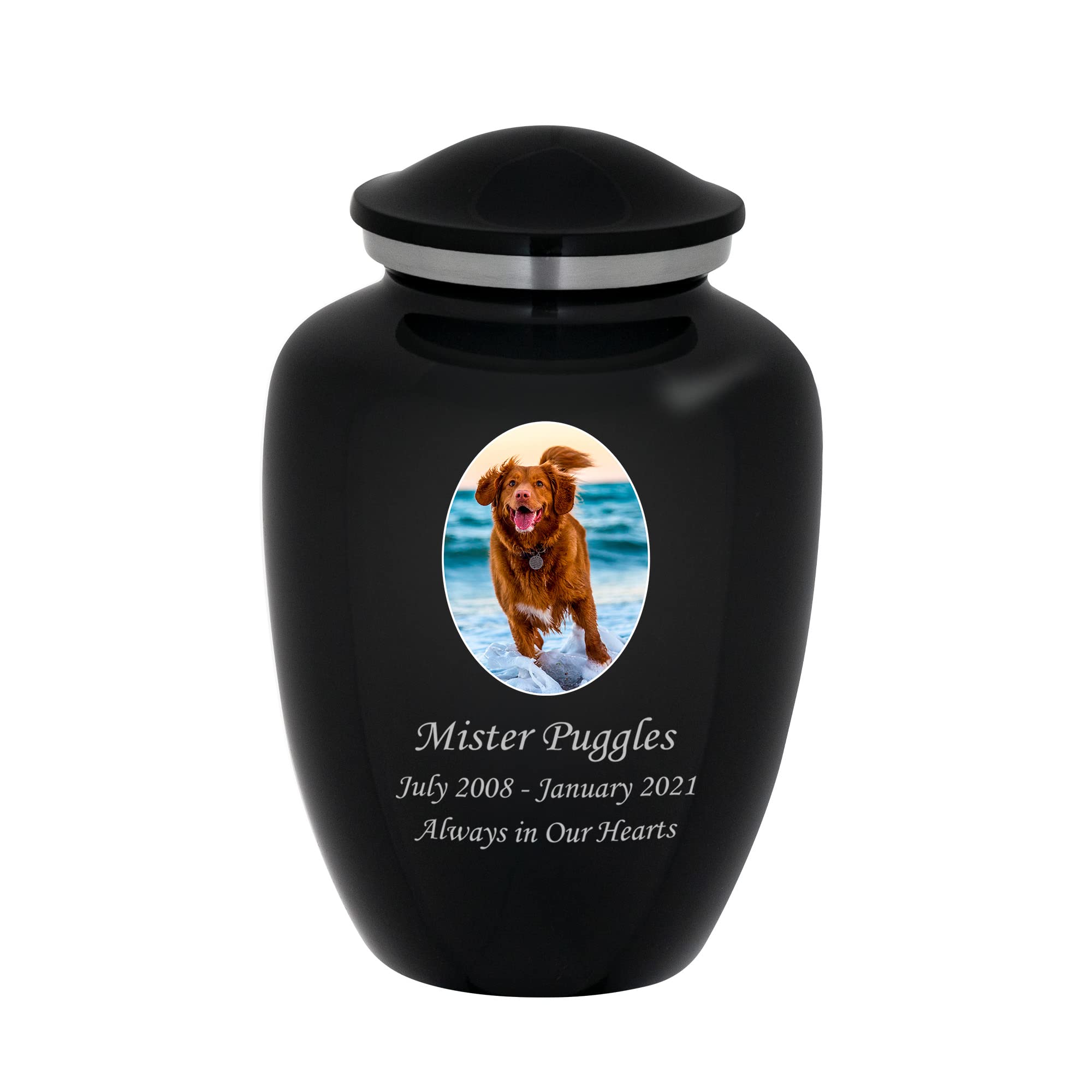 Mainely Urns Homage Medium Custom Photo Cremation Urn - Vase Style Pet Ashes Urn - 80 Cubic Inch Capacity - Personalization Incl