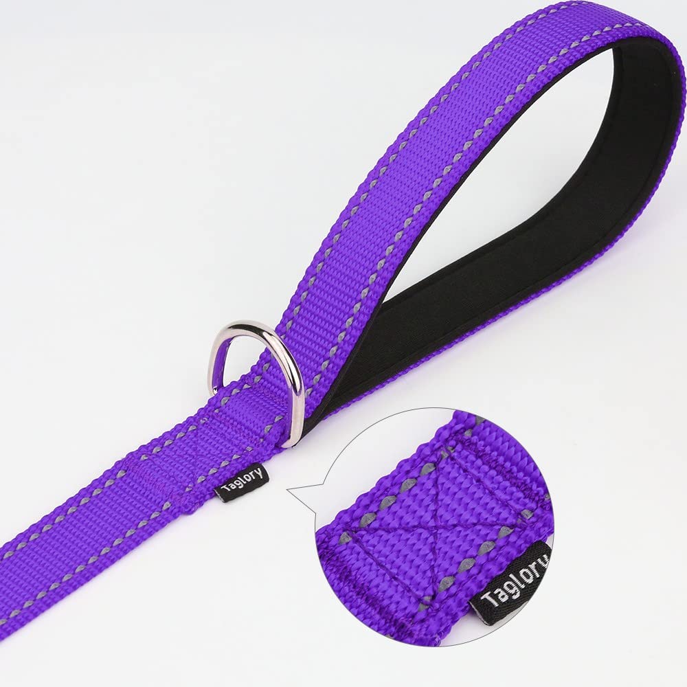 Taglory Nylon Dog Leash 6Ft, Soft Padded Handle Pet Reflective Leashes For Puppy Small Medium Dogs Walking & Training, Purple