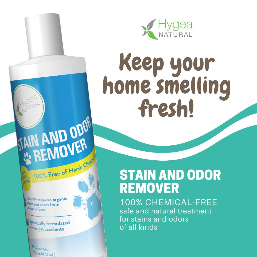 Hygea Natural Stain And Odor Eliminator, Pet Odor And Stain Remover For Urine & Vomit, Spot Carpet Cleaner For Small Animal, 16 Oz