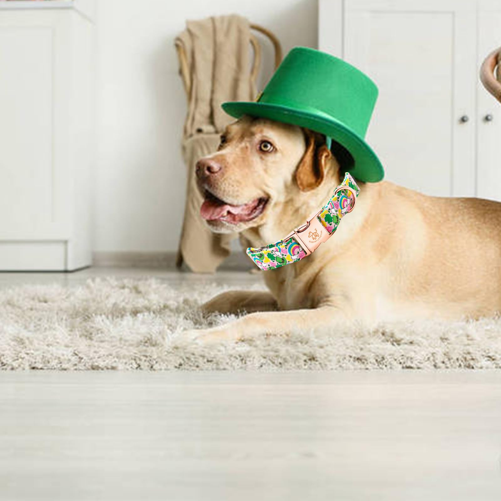 Elegant Green Clover Adjustable Large Dog Collar