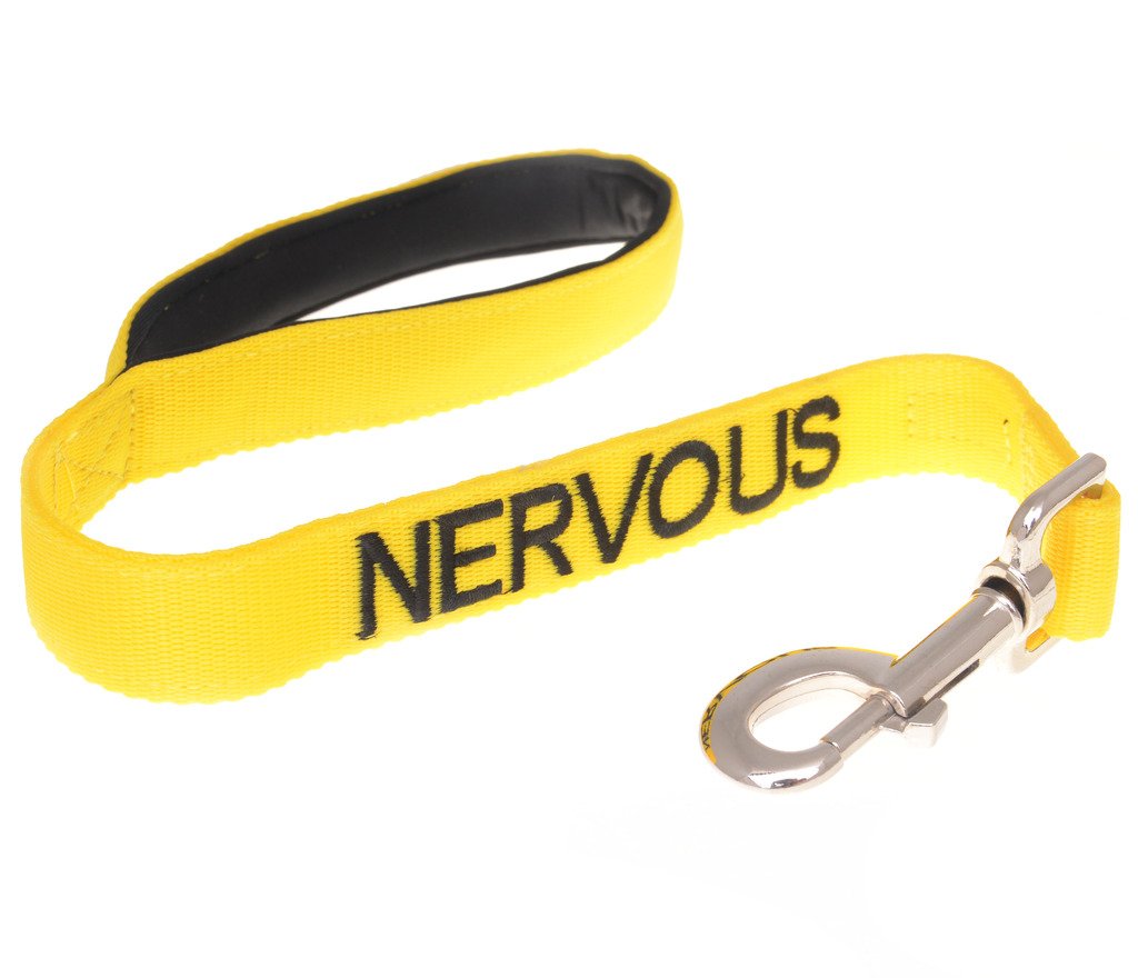 Dexil Limited Nervous Yellow Color Coded 2 4 6 Foot Padded Dog Leash (Give Me Space) Prevents Accidents By Warning Others Of You
