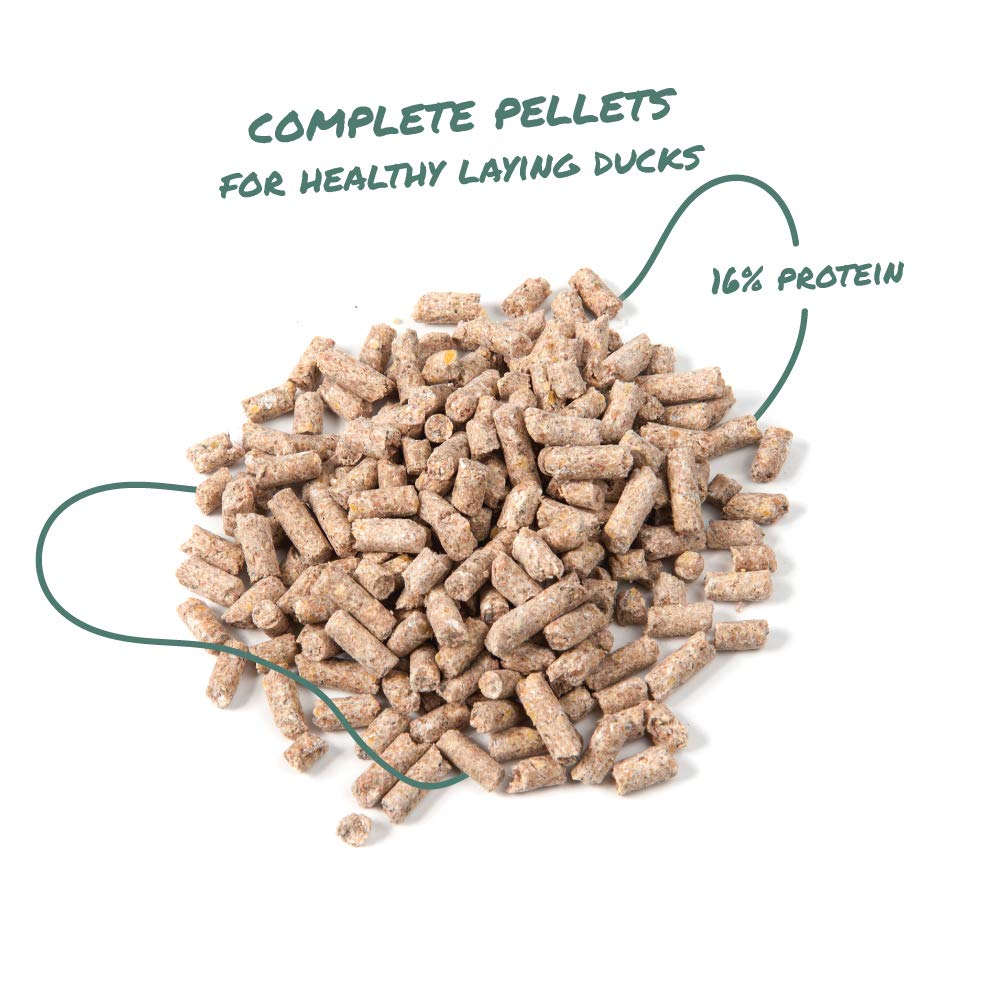 Manna Pro Duck Layer Pellet, High Protein for Increased Egg Production, Formulated with Probiotics to Support Healthy Digestion,