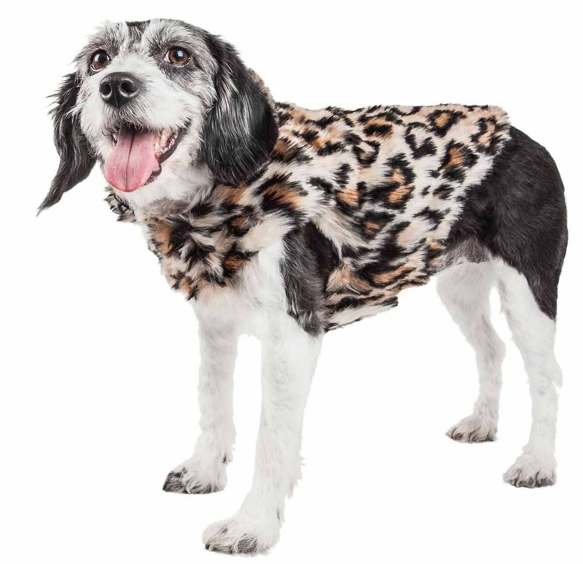 Pet Life ® Luxe 'Lab-Pard' Dazzling Leopard Patterned Mink Fur Dog Coat - Dog Jacket with Easy Hook-and-Loop Belly enclosures - Winter Dog Coats for Small Medium Large Dogs