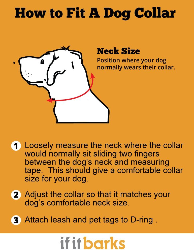 If It Barks Personalized 1.5'' Striped Dog Collar - Engraved Name - Custom Size, Shortcake