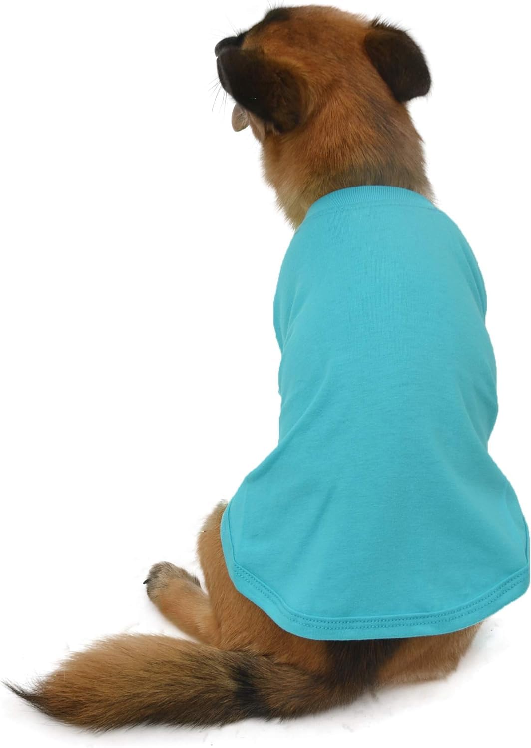 Lovelonglong Pet Clothing Dog Costumes Dachshund Clothes Blank T-Shirt Tee Shirts for Dachshund Dogs,Corgi 100% Cotton Turquoise