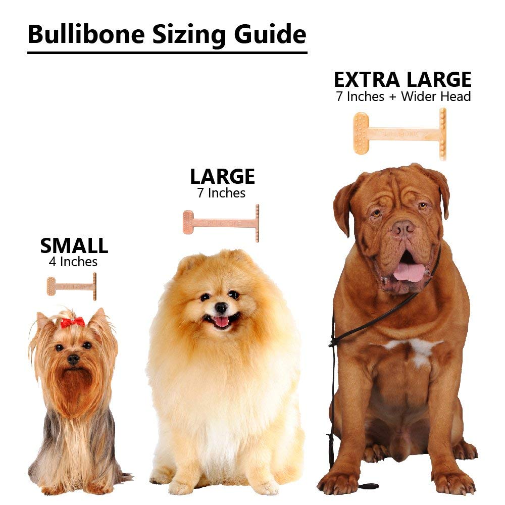 Bullibone Nylon Dog Chew Toy Nylon Bone - Improves Dental Hygiene, Easy To Grip Bottom, And Permeated With Flavor (Bacon, Xl - Single)