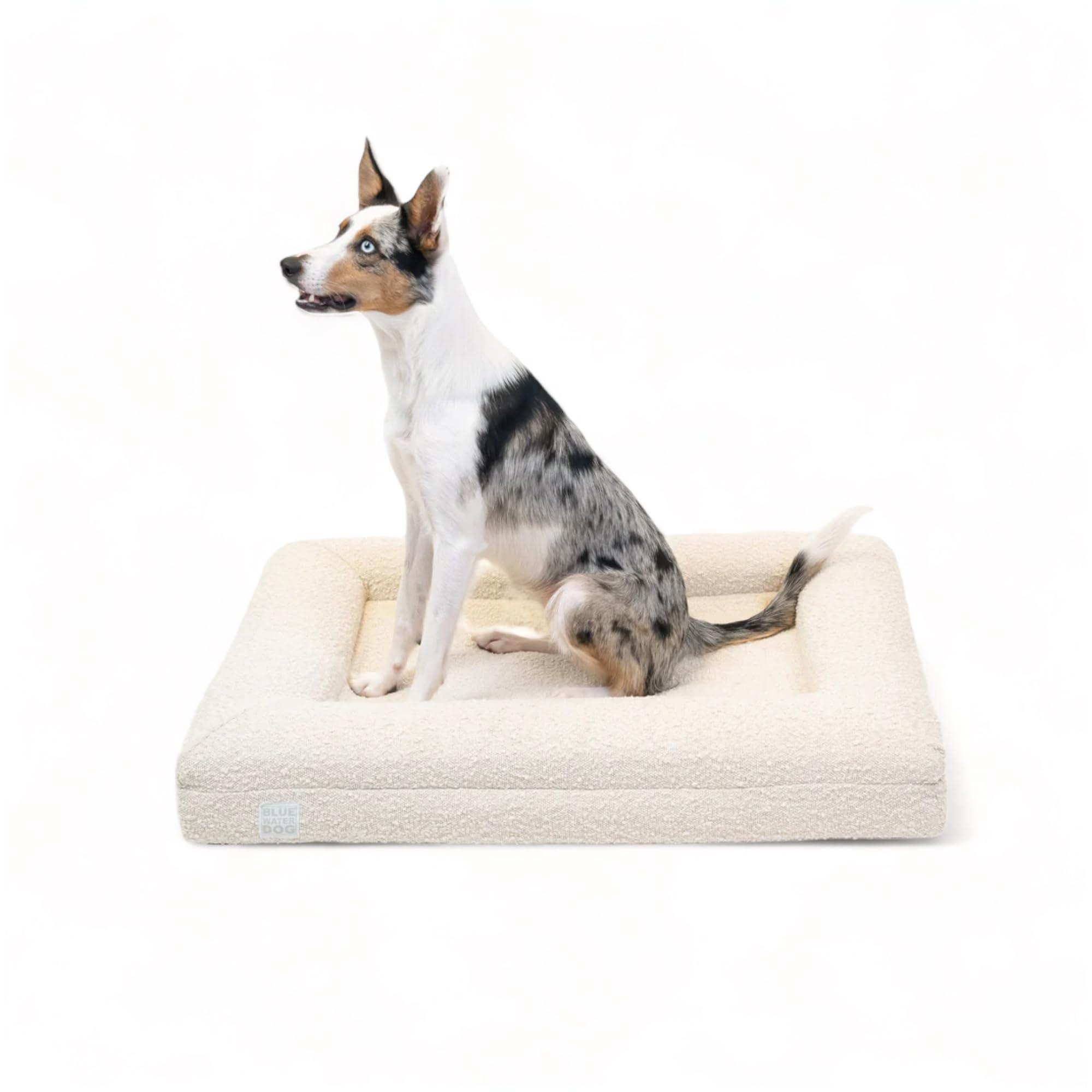 Bluewater Dog Luxury Boucle Orthopedic Memory Foam Dog Bed With Waterproof Liner And Machine Washable Cover With Ykk Zippers (Sm