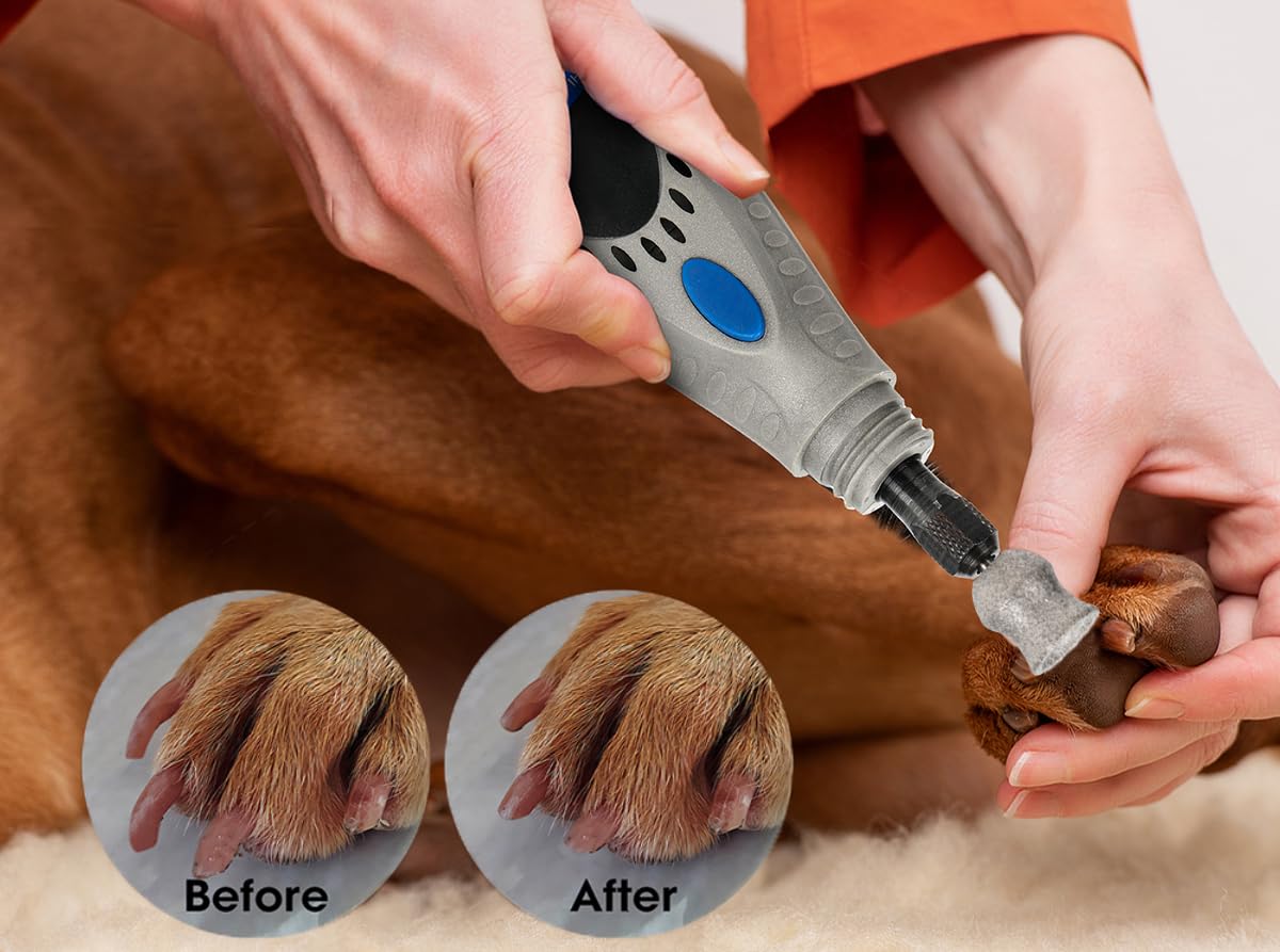 Asozeer For Dremel Dog Nail Grinder - Diamond Bits Attachment For Dog Nail - 1/8' Painless Nail Grinder Bits Won'T Pull Hair Or