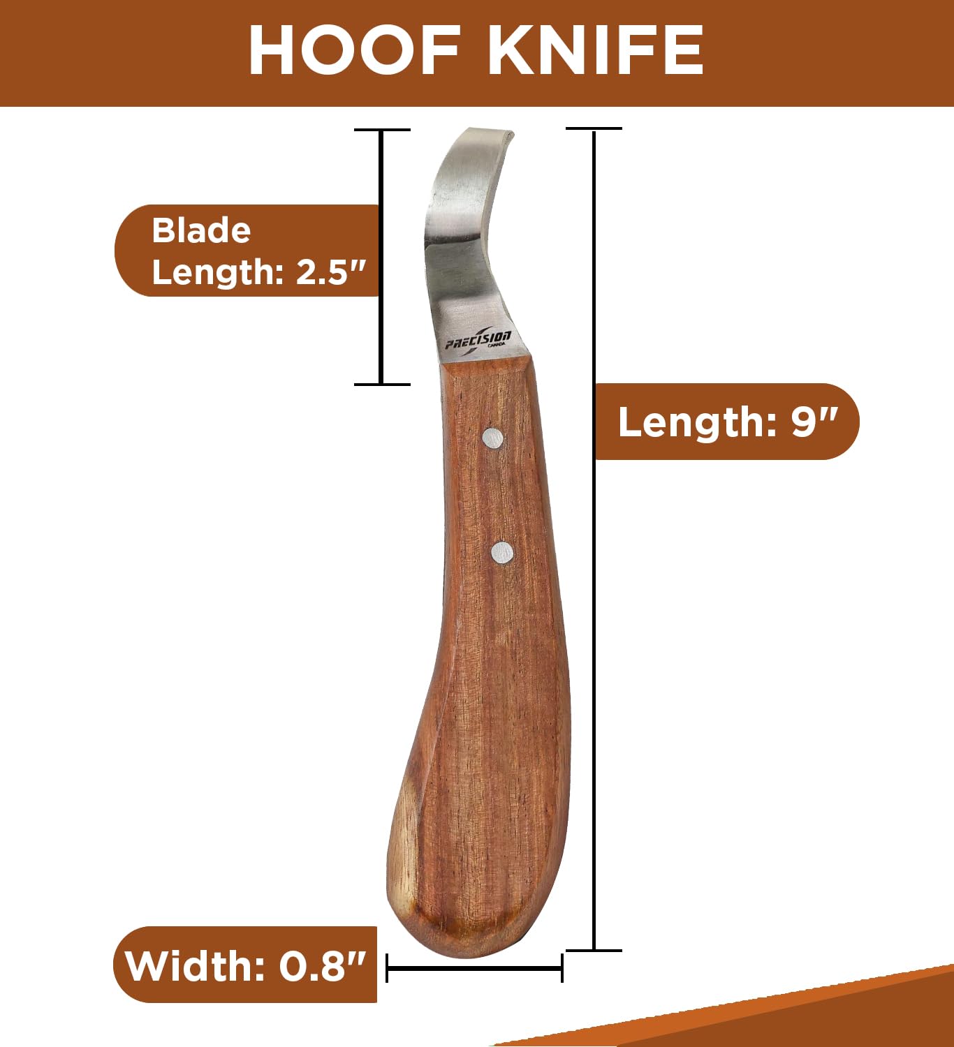 Precision Canada Hoof Knife Loop Blade Japanese Stainless Steel