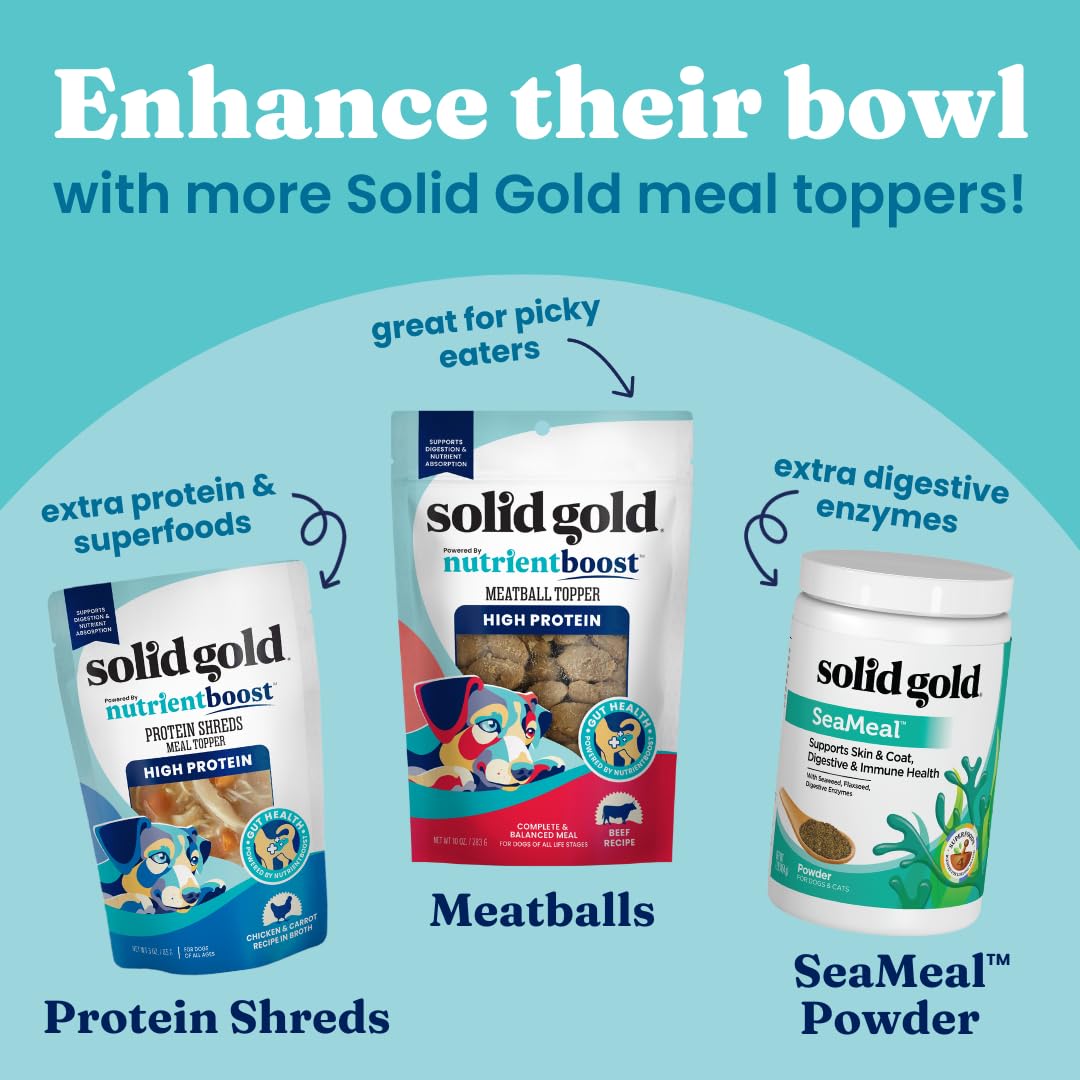Solid Gold Turkey Bone Broth for Dogs - Grain Free Dog Food Topper Rich in Collagen and Superfoods - Nutrient Dense Dog Gravy To