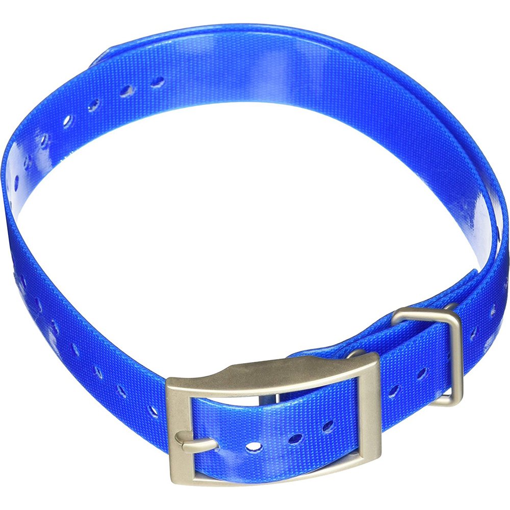 Garmin 1-Inch Dog Collar, Blue