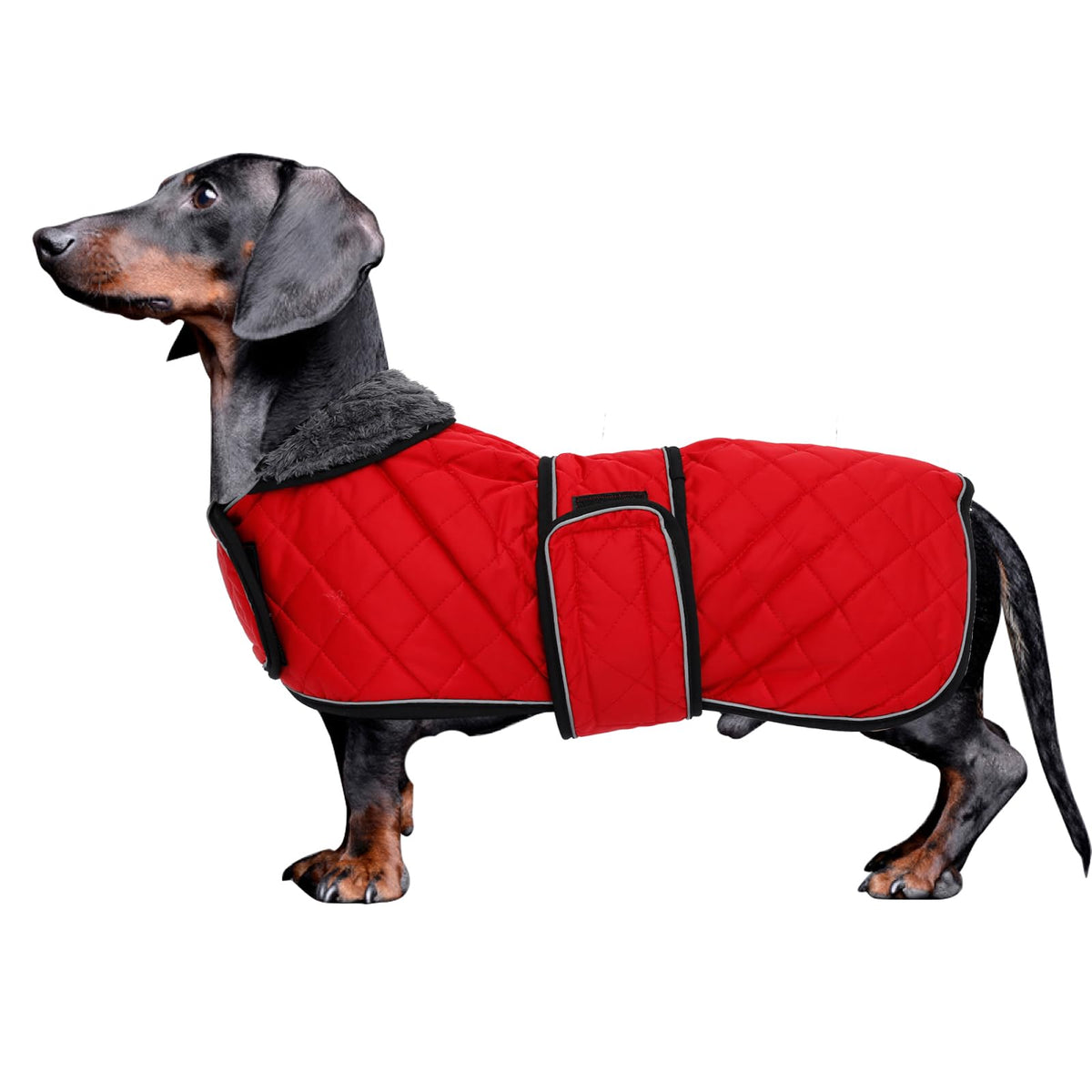 Morezi Dachshund Coats, Dachshund Coat, Coat For Dachshund, Dog Winter Coat With Padded Fleece Lining, Outdoor Dog Apparel With Adjustable Bands - Red - Xs