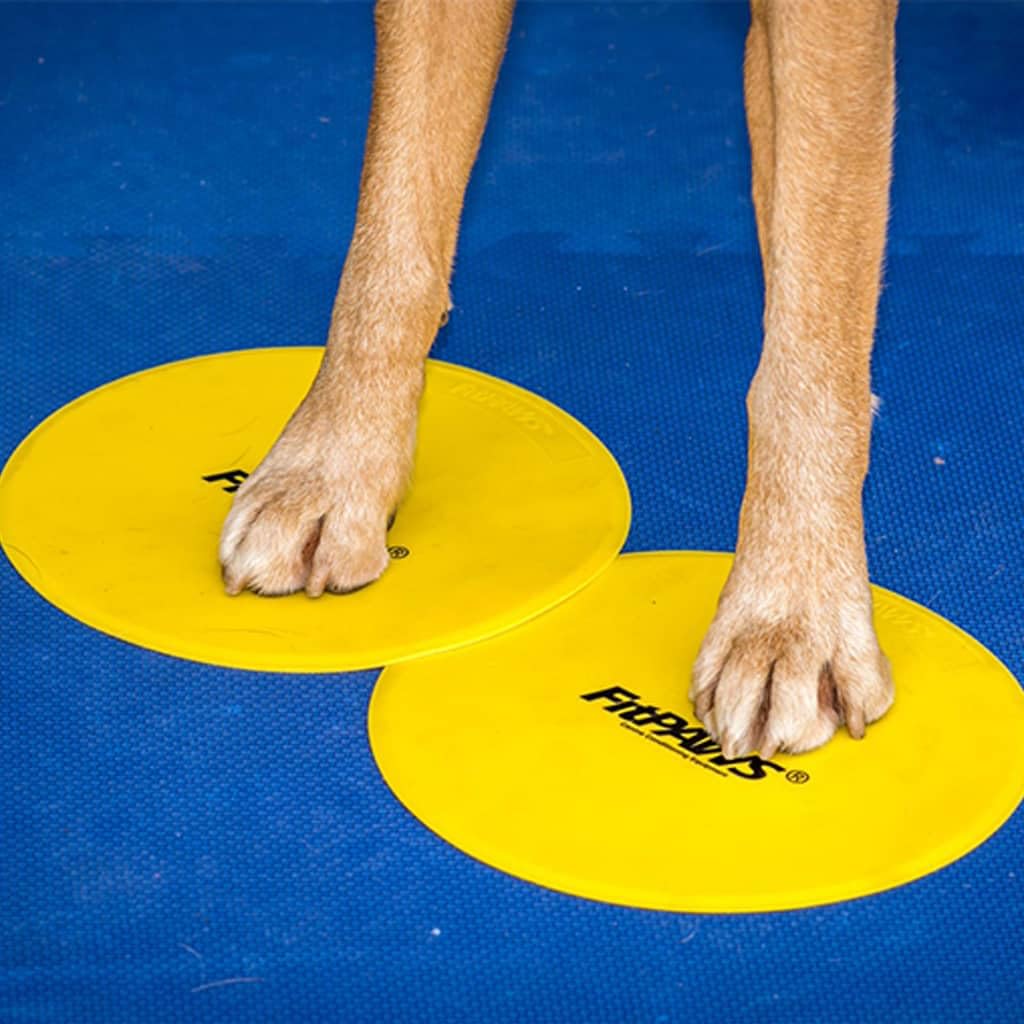 Fitpaws® Dog Training Targets 10', Set Of 4 | Dog Exercise Equipment For Fitness & Rehabilitation