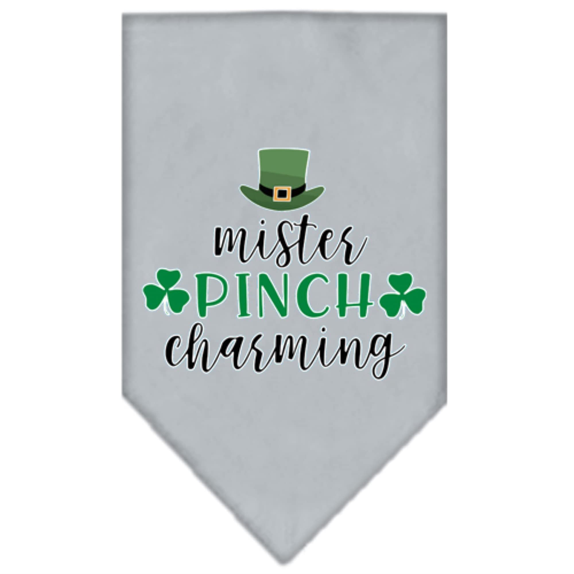 Pet and Dog Bandana Screen Printed, &quot;Mr. Pinch Charming&quot; Grey Large
