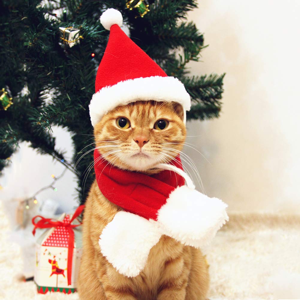 Petleso Cat Santa Hat With Scarf, Christmas Hats For Cats Small Dog Santa Hat Christmas Costume For Cat Rabbit Puppy Doll Decoration, Red S