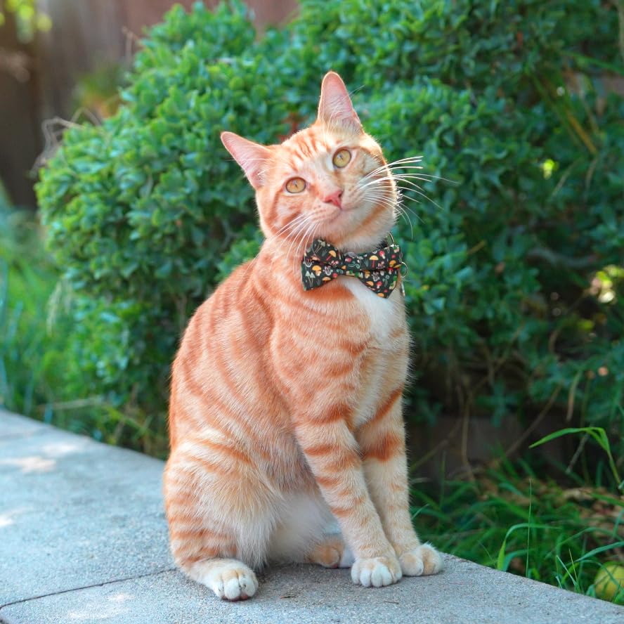 Ultra Joys Cat Collar With Bells - Breakaway Collar Kitten To Adult, Boy & Girl, Mushroom Large