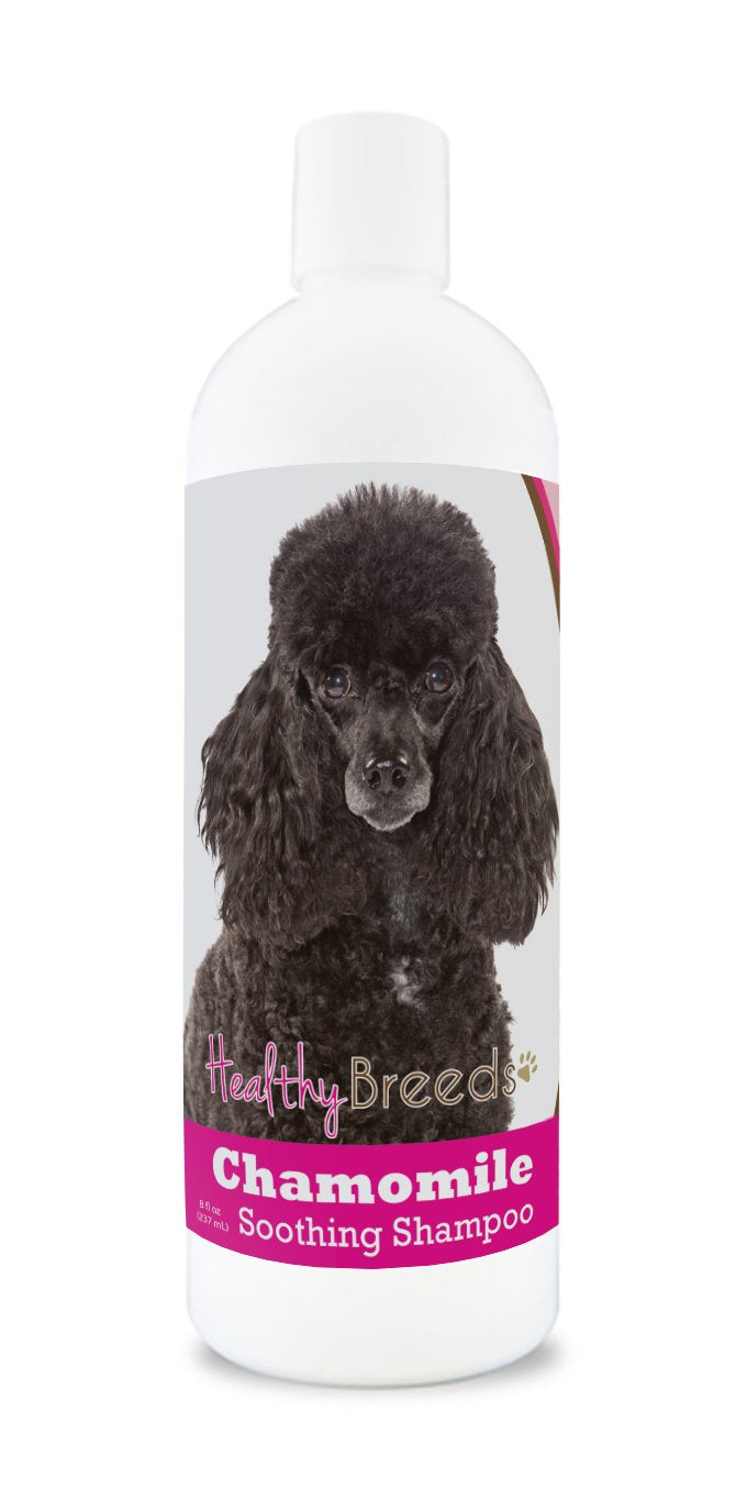 Healthy Breeds Poodle Chamomile Soothing Dog Shampoo 8 oz