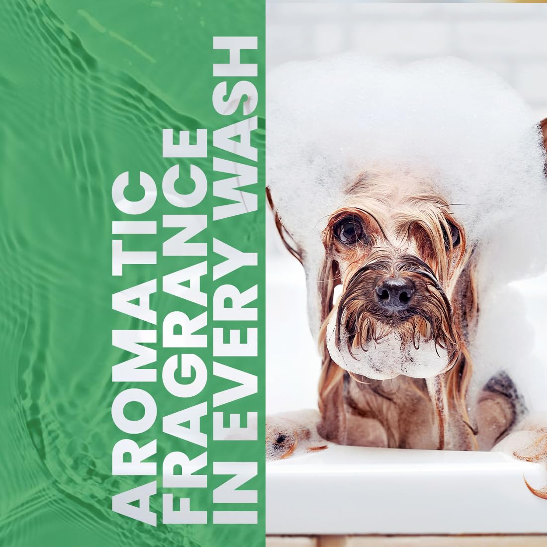 Best Shot Scentament Spa Puppy Conditioner, Ph Balanced And Hypoallergenic Skin Care Product For Any Dog, Cat, Puppy, Or Kitten, Mandarin Jasmine Honey, 16 Oz