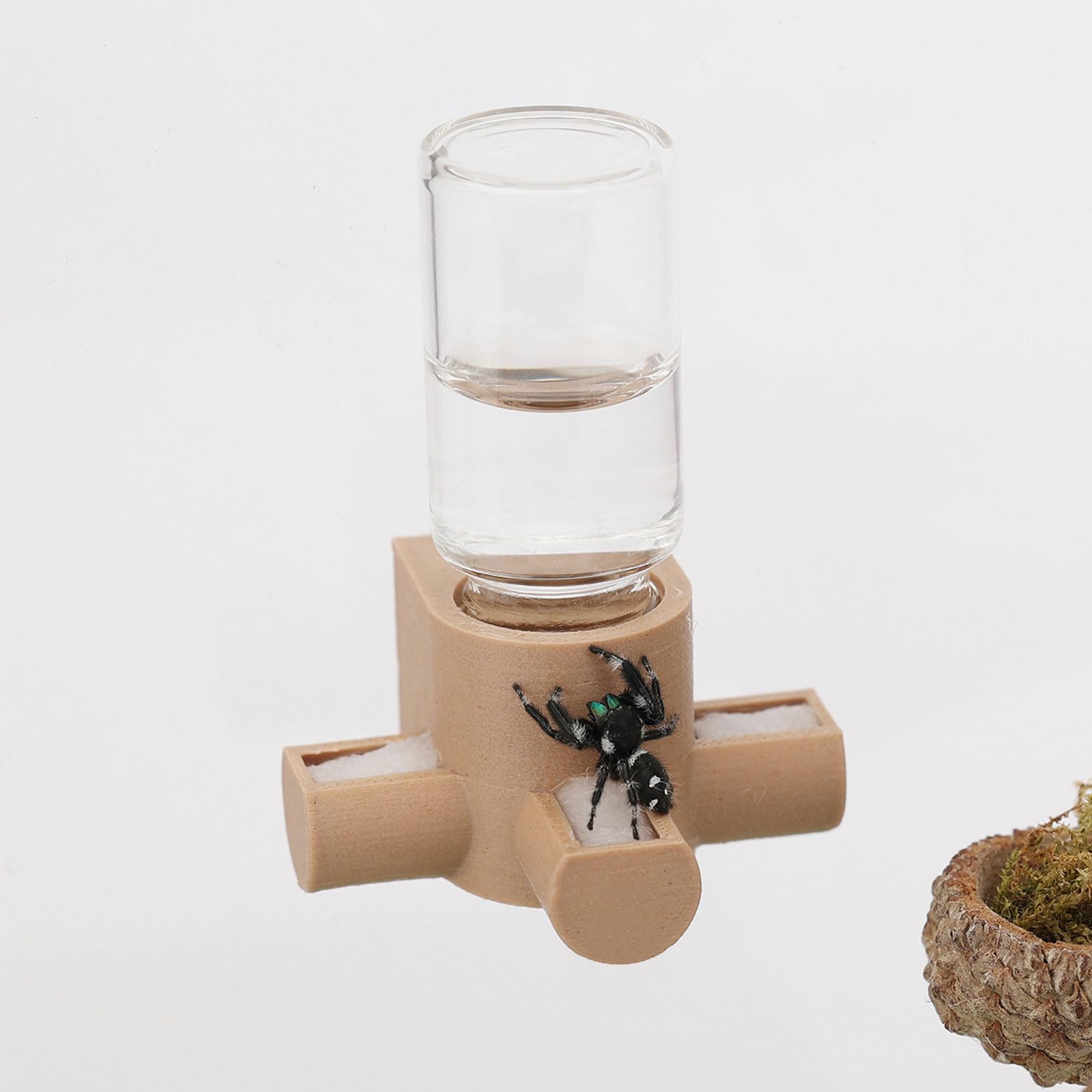 Daerky Jumping Spider Water Dispenser, Magnetic Hanging Feeder,Suitable for Jumping Spiders,Tarantulas, Praying Mantises,Arborea
