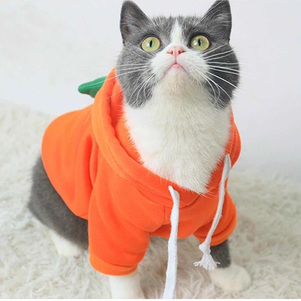 Aniac Funny Pet Clothes For Small Dog Cat Carrot Dog Hoodies Warm Dog Sweatshirt Coat With Fruit Hood Fall Puppy Cat Sweater Hal