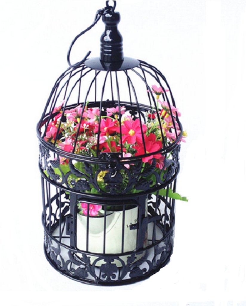 Pet Show Round Birdcages Wedding Gift Cards Holder Metal Wall Hanging Bird Cage For Small Birds Party Indoor Ourdoor Decoration 10.6“ Black Pack Of 1