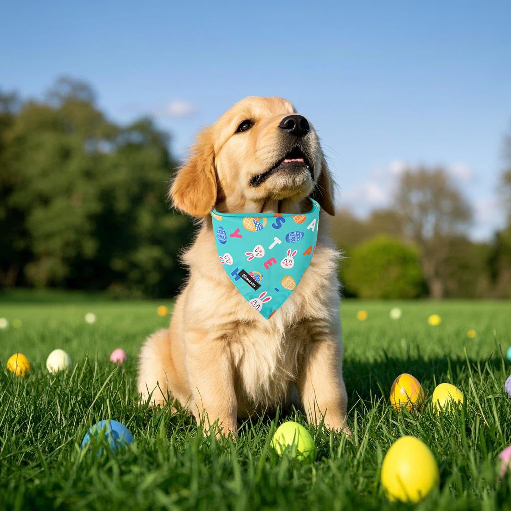 Maca Bates 2 Pack Easter Corrot Dog Bandana Bunny Rabbit Egg Esater'S Gift Dogs Scarf Green And White Soft Puppy Bandanas Pet Ke