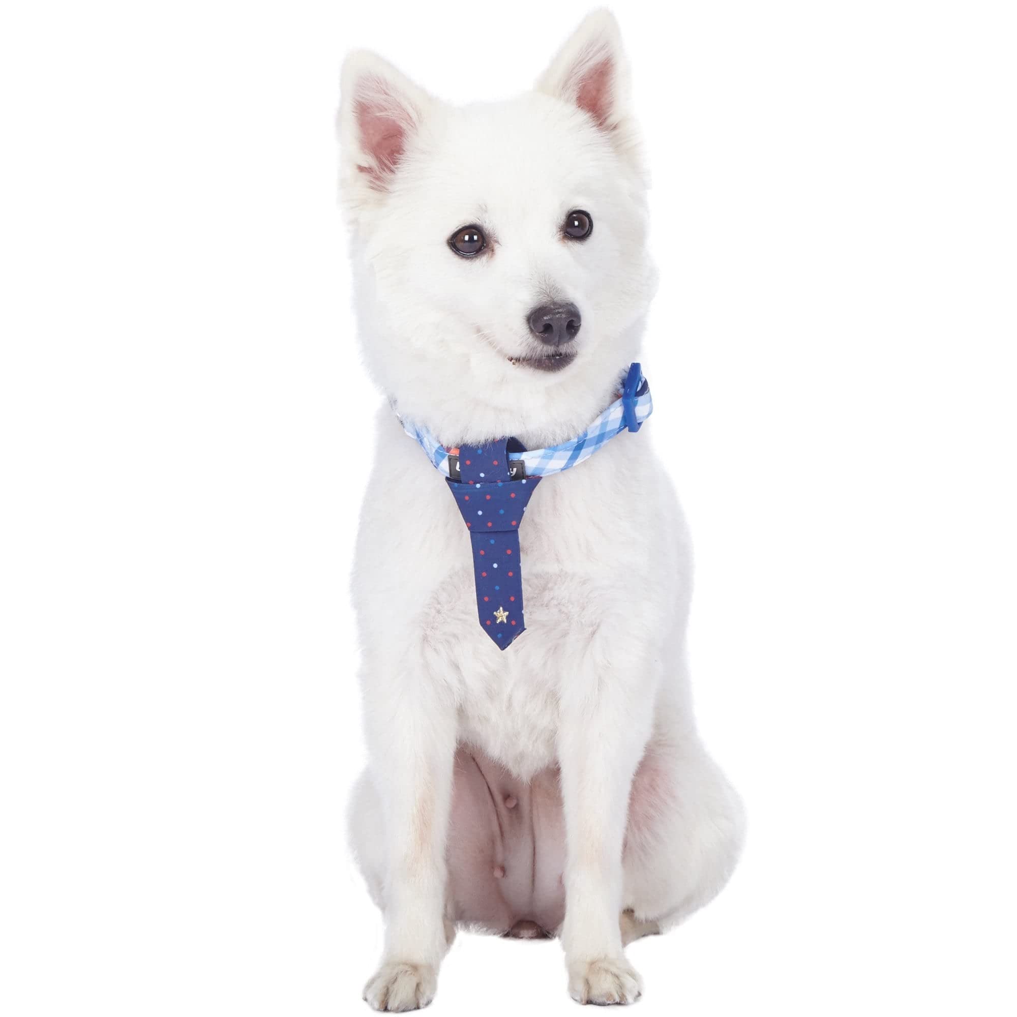 Blueberry Pet 4 Patterns Blue Hue Scottish Plaid Style Adjustable Tie Dog Collar, Medium, Neck 14.5-20