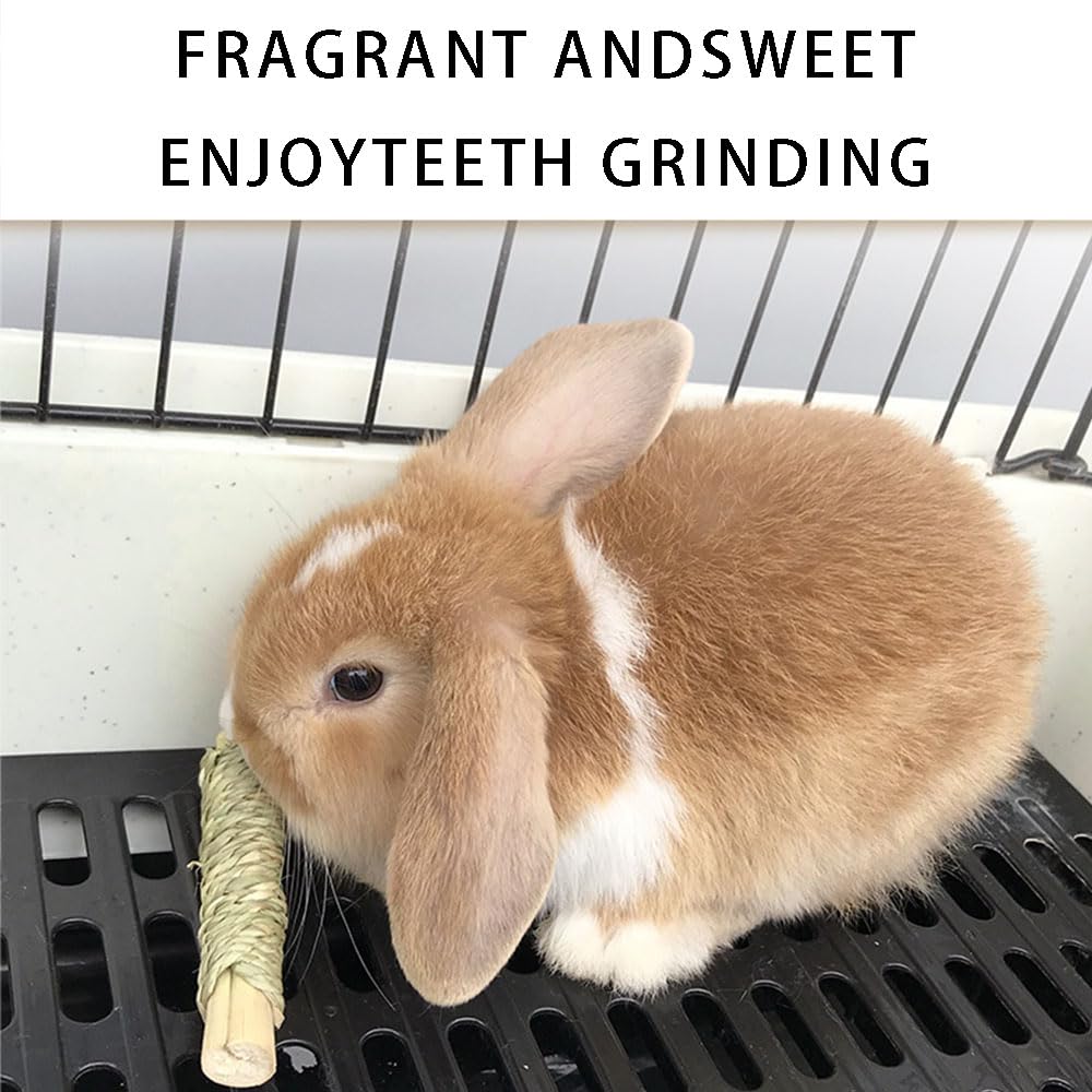 Dbeans Flourithing Rabbit Toys 30Pcs 3 Flavours For Teeth Grinding - Chew Toys For Hamsters, Guinea Pigs, Chinchillas