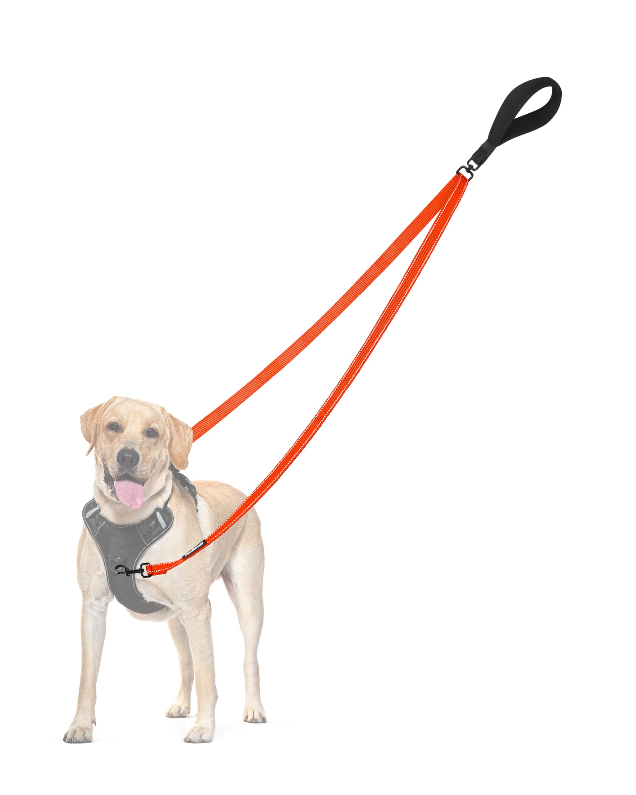 Petbonus Two Point Control Dog Leash, Works With No Pull Harnesses, No Tangle Training Leashes, Soft Padded And Reflective Walki