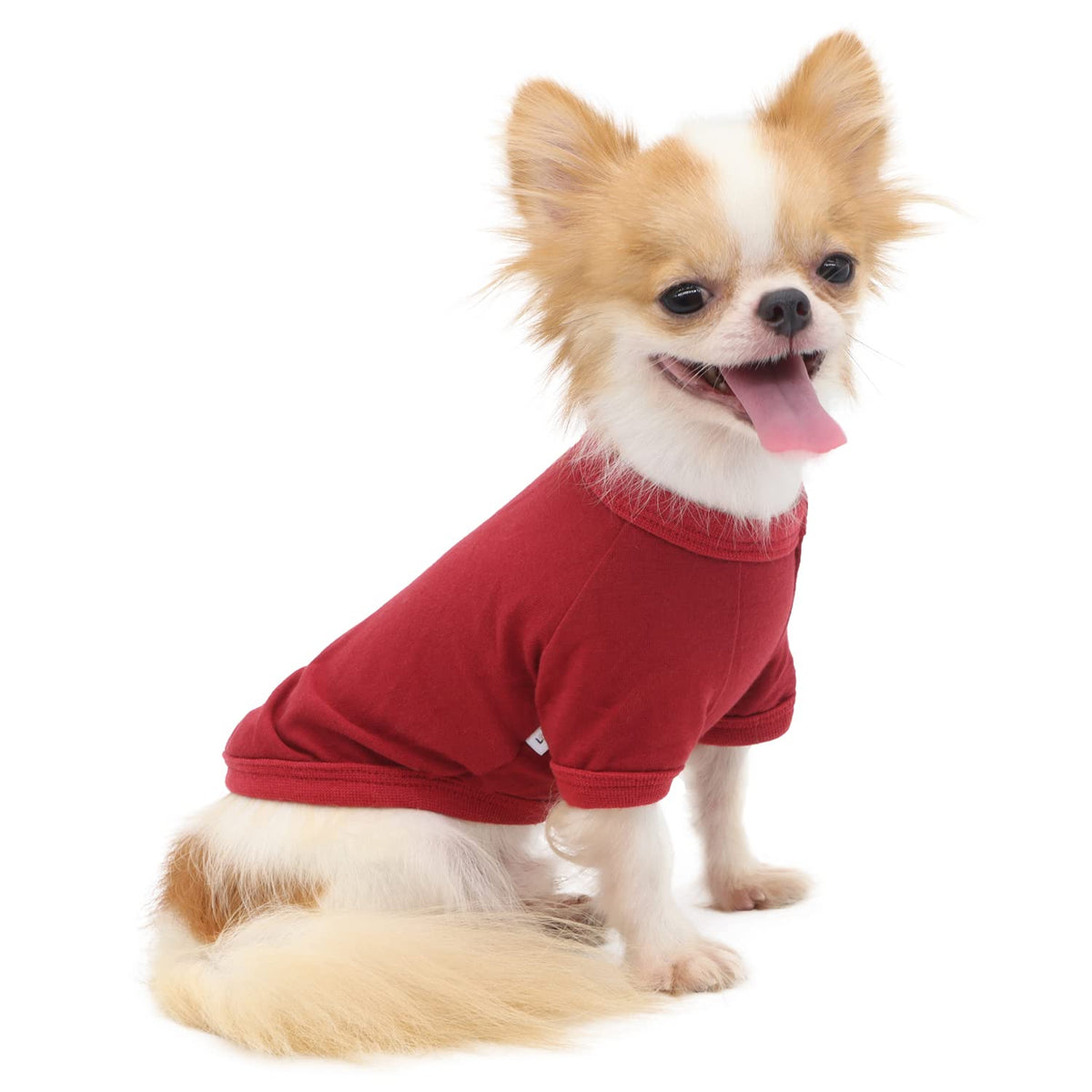 Lophipets 100% Cotton Dog Tee Shirt For Small Dogs Teacup Chihuahua Yorkie Puppy Clothes-Red/S