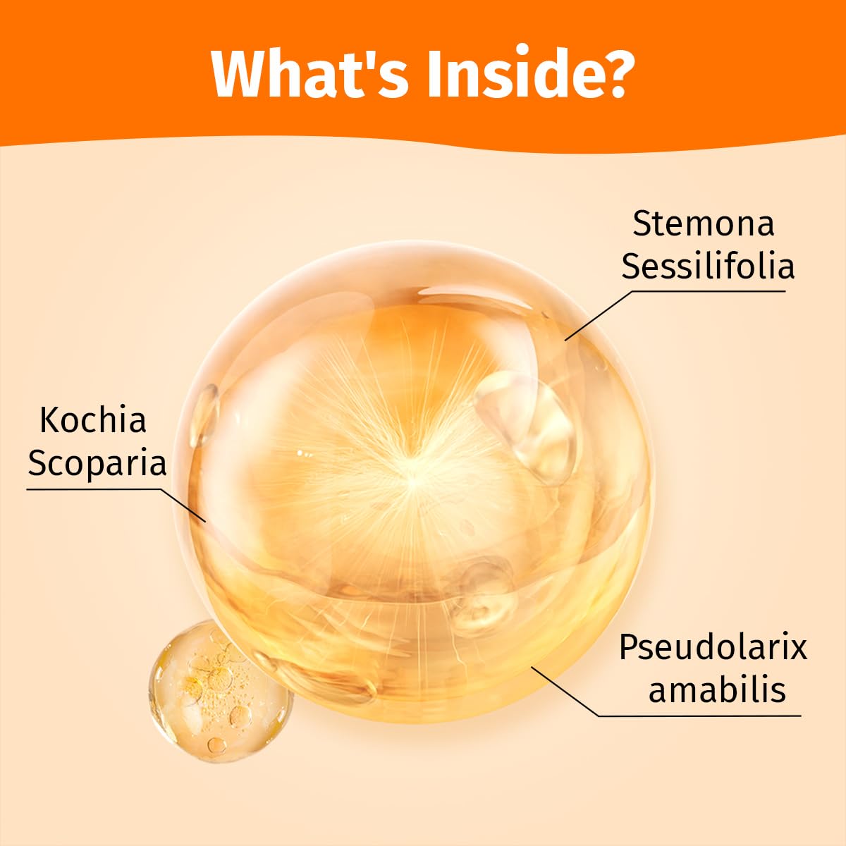 Cassiel pet Hot Spot Spray for Dogs, Itch Relief Spray & Hot Spot Treatment for Dogs, Helps Alleviate Allergies Dry Itchy Skin,