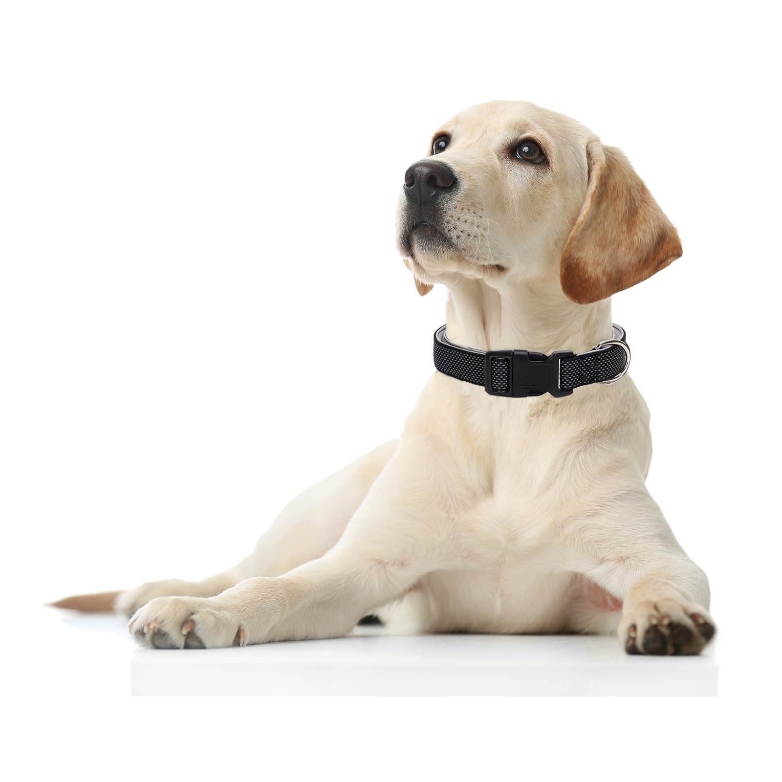 Reflective Dog Collar Padded-4 Size, Breathable Nylon Soft Neoprene Pet Collar For Small Medium And Large Dogs (Black, M)