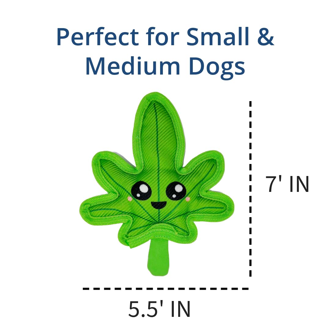 Toygenics Weed Toy | Funny Crinkle Chew Toys | Tough Plush Squeaky Toys For Small & Medium Breed Dogs | Raw Dog Toy