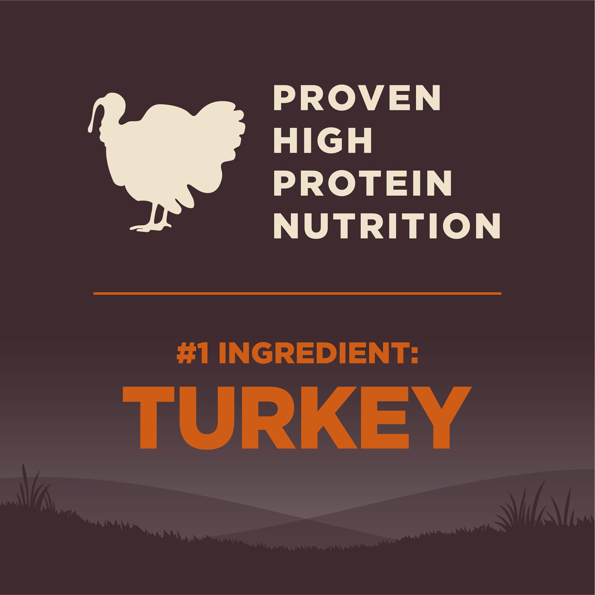Wellness Natural Pet Food CORE Grain-Free High-Protein Small Breed Dry Dog Food, Natural Ingredients, Made in USA with Real Meat