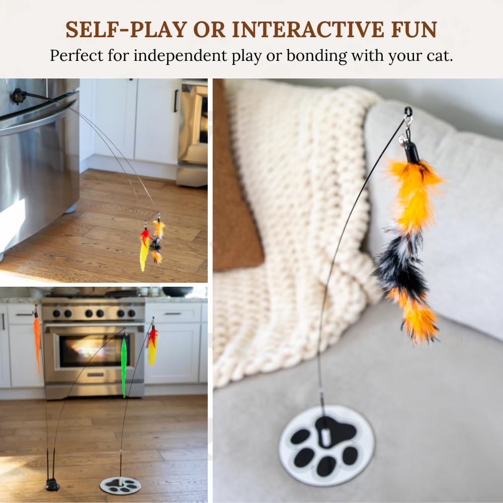 Gadgetsology Cat Wand Toy Cat Fishing Pole Toy Cats Feather Toys Suction Cup For Indoor Cats Teaser Wand Feather Attachments Mul