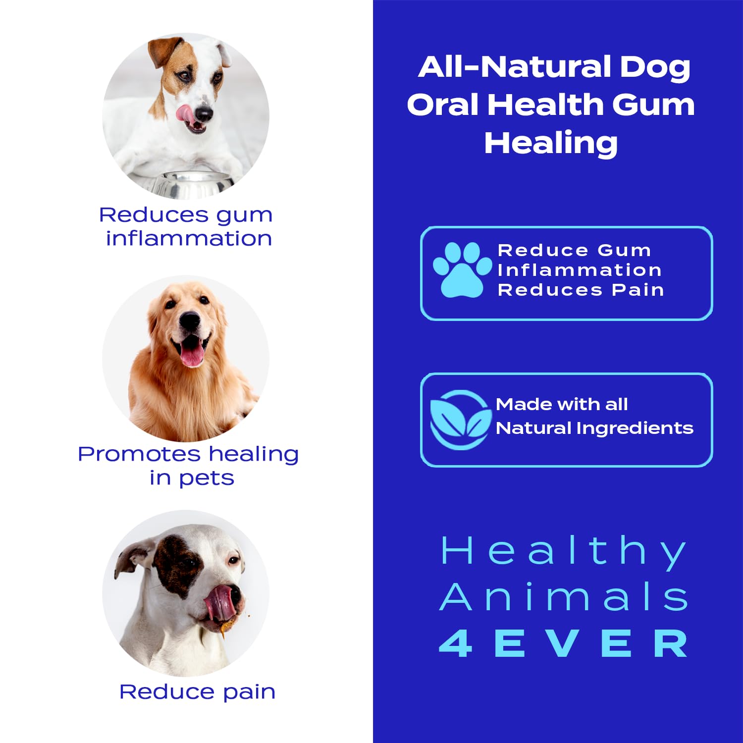 Healthy Animals 4 Ever Oral Health Gum Healing for Dogs - Relieves Inflammation, Soothes Pain, Fights Gum Disease - Natural, Non