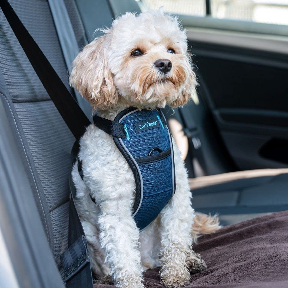 Carsafe Crash Tested Dog Safety Harness - Crash Tested To 32Kg/70Lbs, Safely Secure Dog In The Car, Comfortable And Padded Desig
