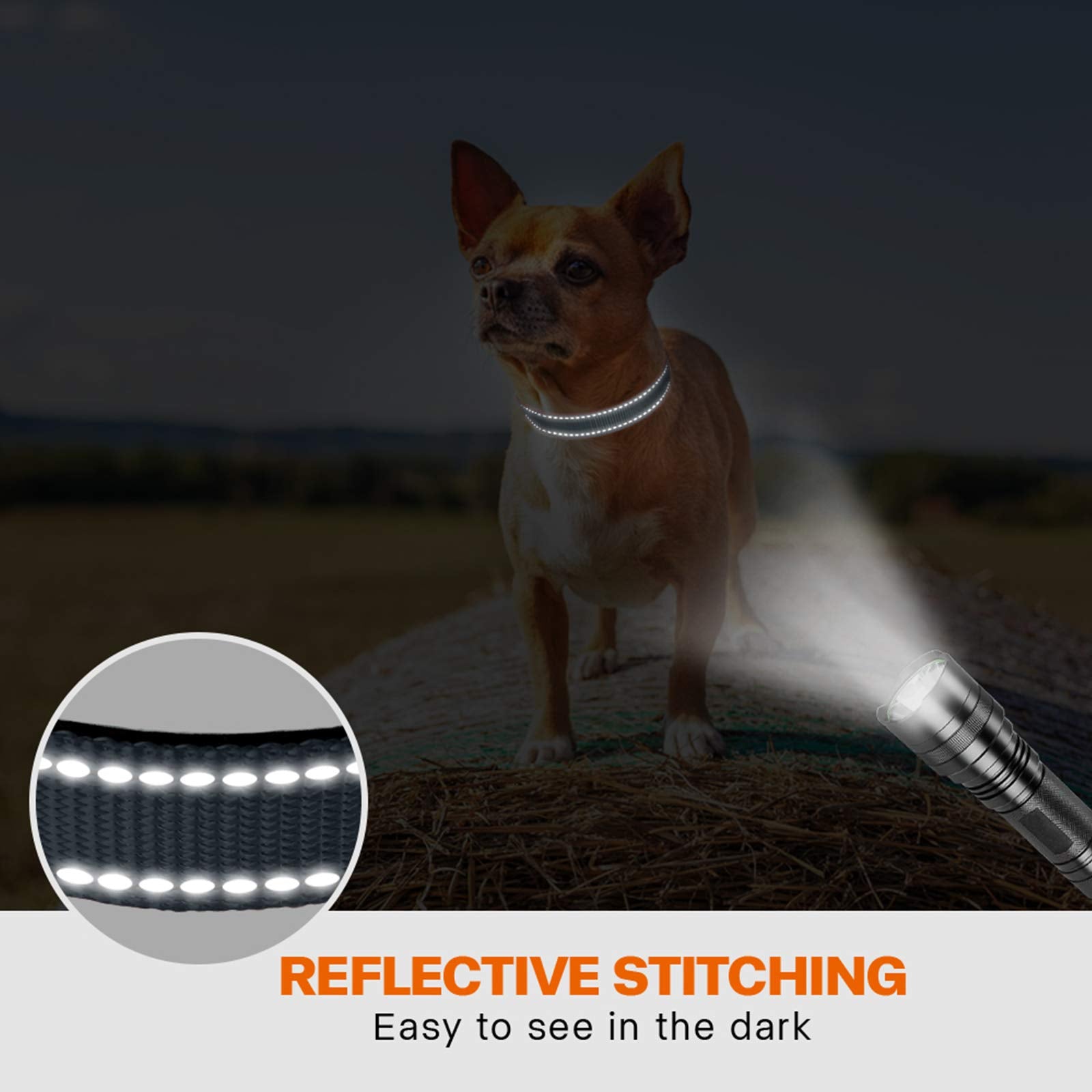 Taglory Reflective Dog Collar With Safety Locking Buckle, Adjustable Nylon Pet Collars For Puppy Dogs, Xs, Grey