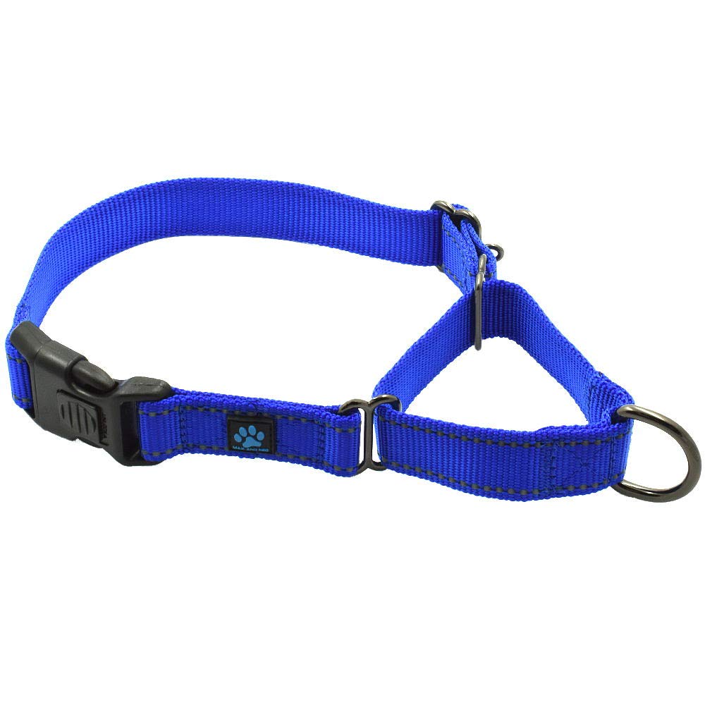 Max And Neo Nylon Martingale Collar - We Donate A Collar To A Dog Rescue For Every Collar Sold (Medium, Blue)