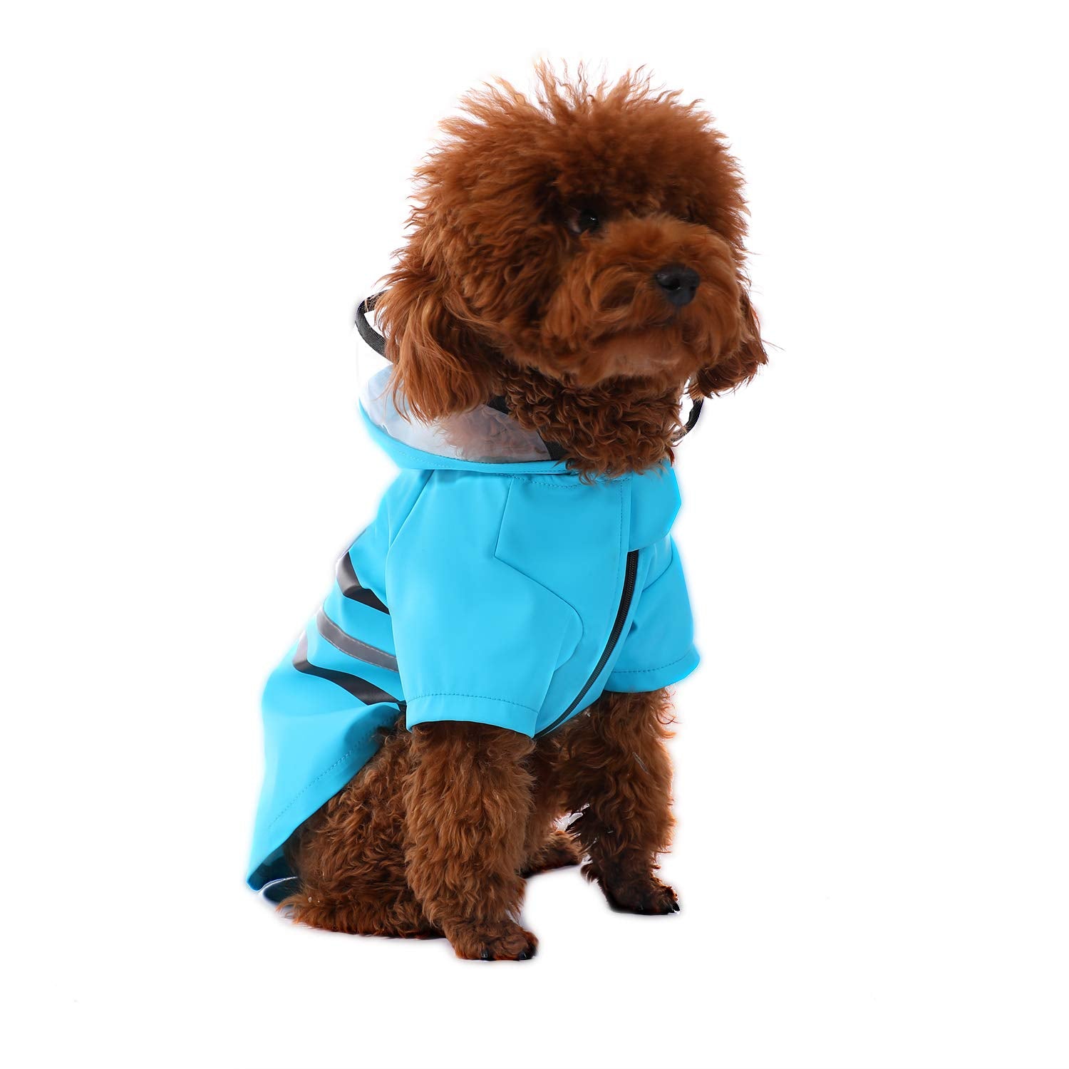 Wizland Dog Raincoat Dog Rain Jacket With Hood Lightweight Waterproof Jacket X-Small To Xx-Large Dogs And Puppies(Blue,M)