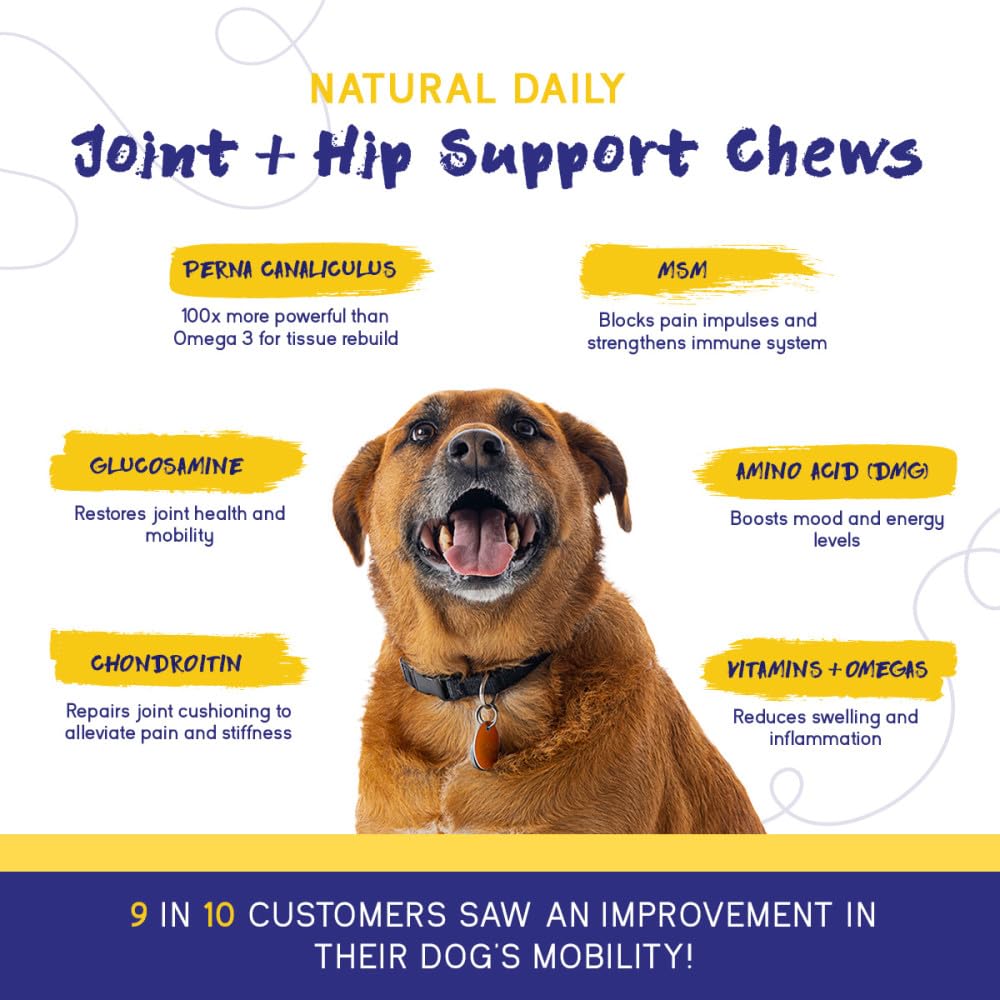 PupGrade Joint Support Supplement for Dogs - Natural Glucosamine Chondroitin with MSM - Hip & Joint Pain Relief - Recommended fo