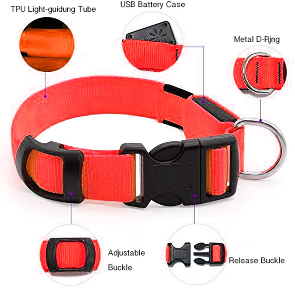 Illumifun Led Dog Collar Usb Rechargeable Glowing Pet Collar Light, Adjustable Light Up Dog Collars Make Your Dogs Safe& Seen At Night (Red, Small)
