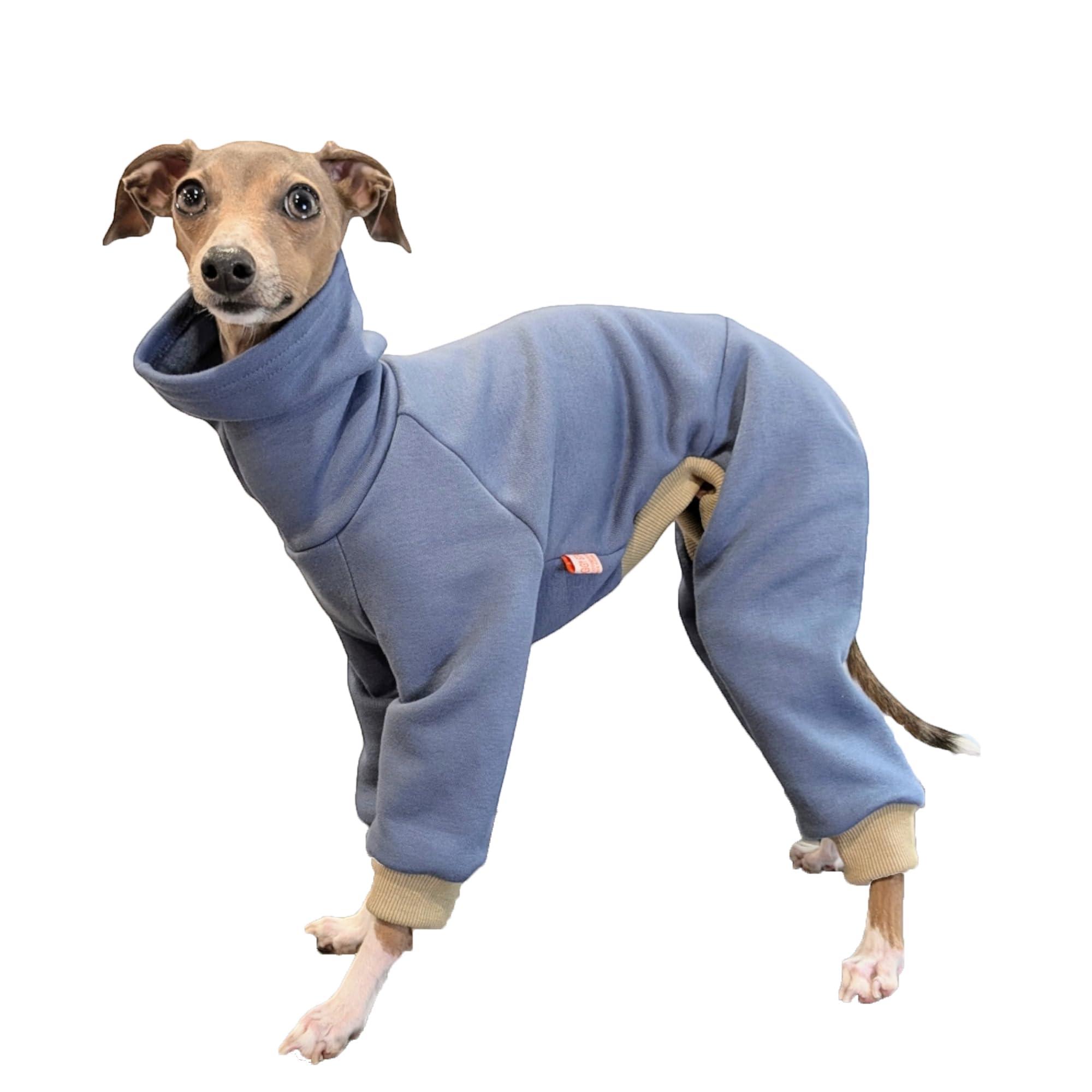 D Doggy Star Italian Greyhound Clothes Strechy Fleeced Lining Simple Onesie Whippet For Dog Coat (2Xl,Simple Blue)