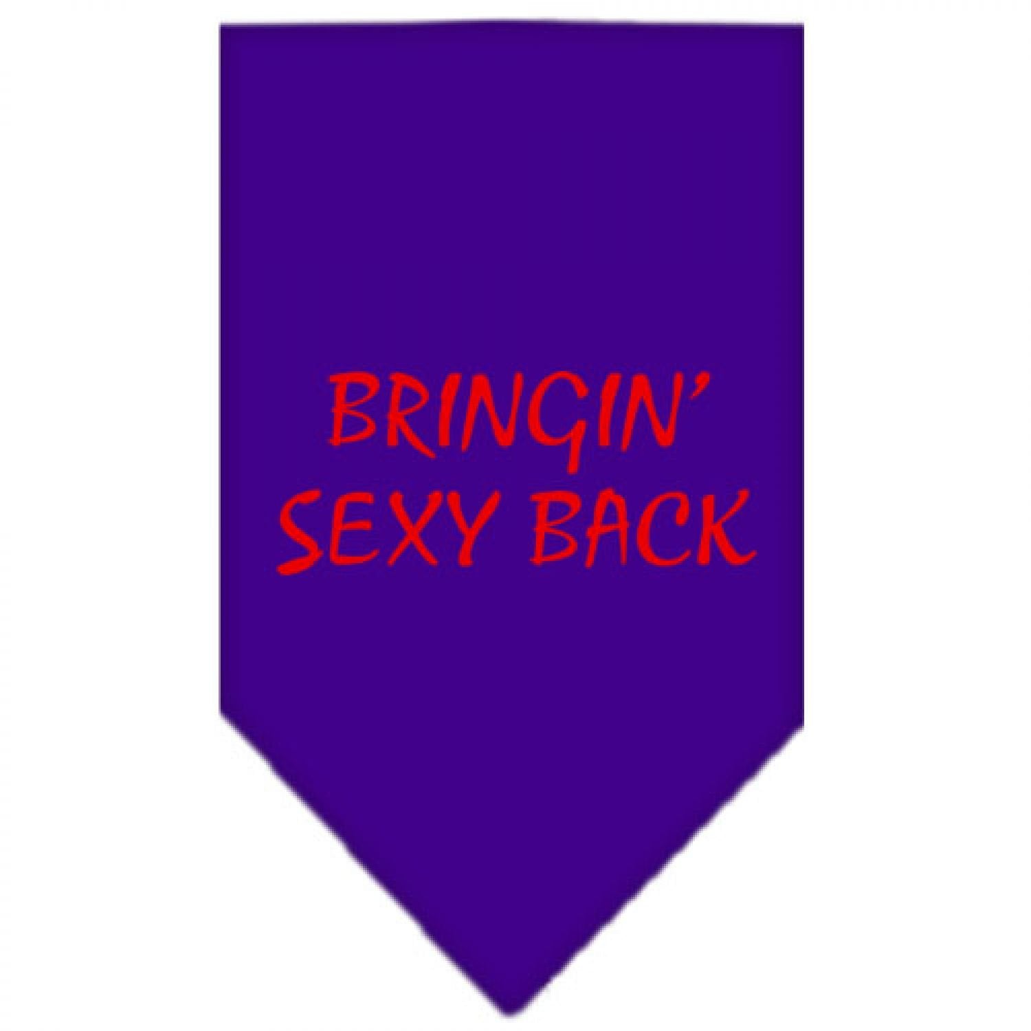Mirage Pet Products Bringin Sexy Back Screen Print Bandana for Pets, Large, Purple