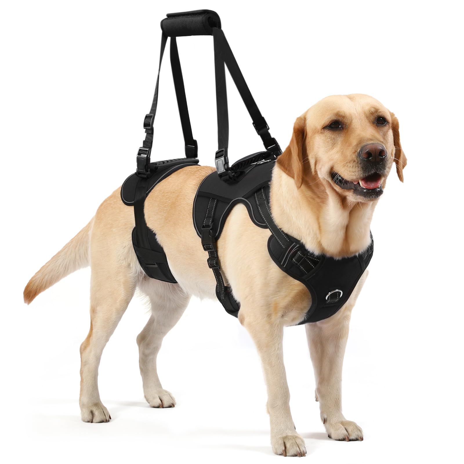 NOYAL Dog Lift Harness for Senior & Injured Pets - Full-Body Support Sling with Breathable Mesh, Front/Rear Leg Assist for Arthr