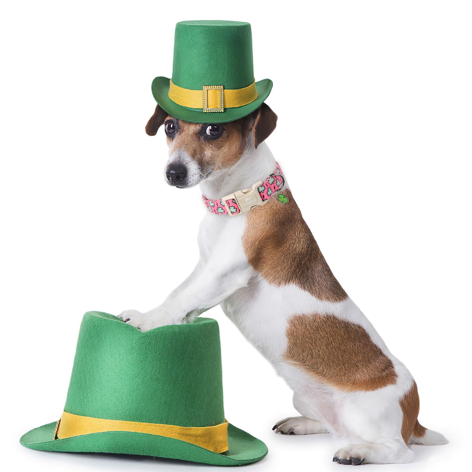 Mr.Chubbyface St. Patrick'S Dog Collar,Pink Clover Shamrock Pet Collar With Quick Release Buckle, Durable Adjustable Spring Coll