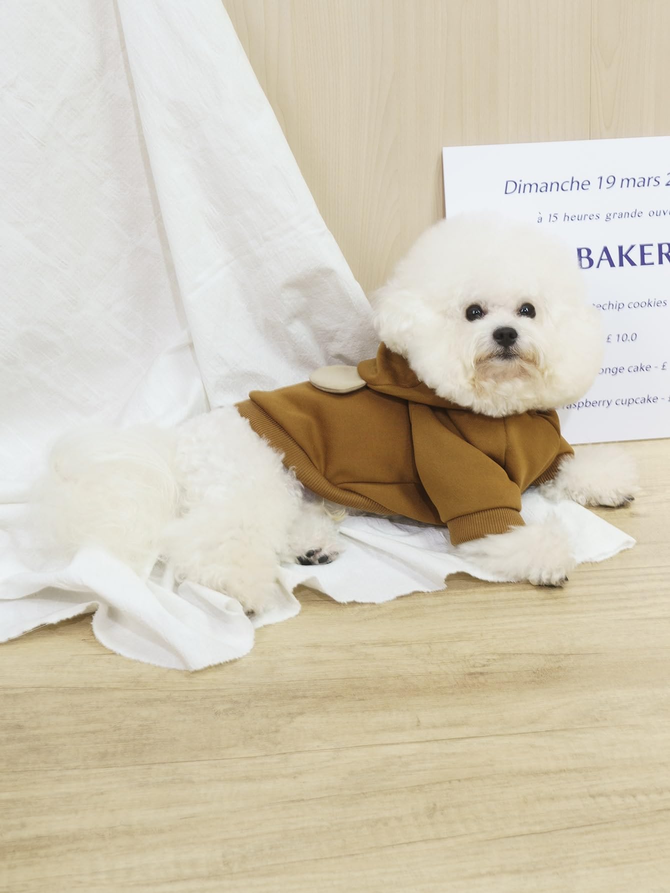 Qwinee Bear Dog Hoodie Dog Warm Jacket Coat Puppy Sweatshirt Christmas Halloween Dog Costume Cosplay Winter Dog Clothes Pet Apparel For Small Medium Dogs Cats Kitten Coffee Brown Xl