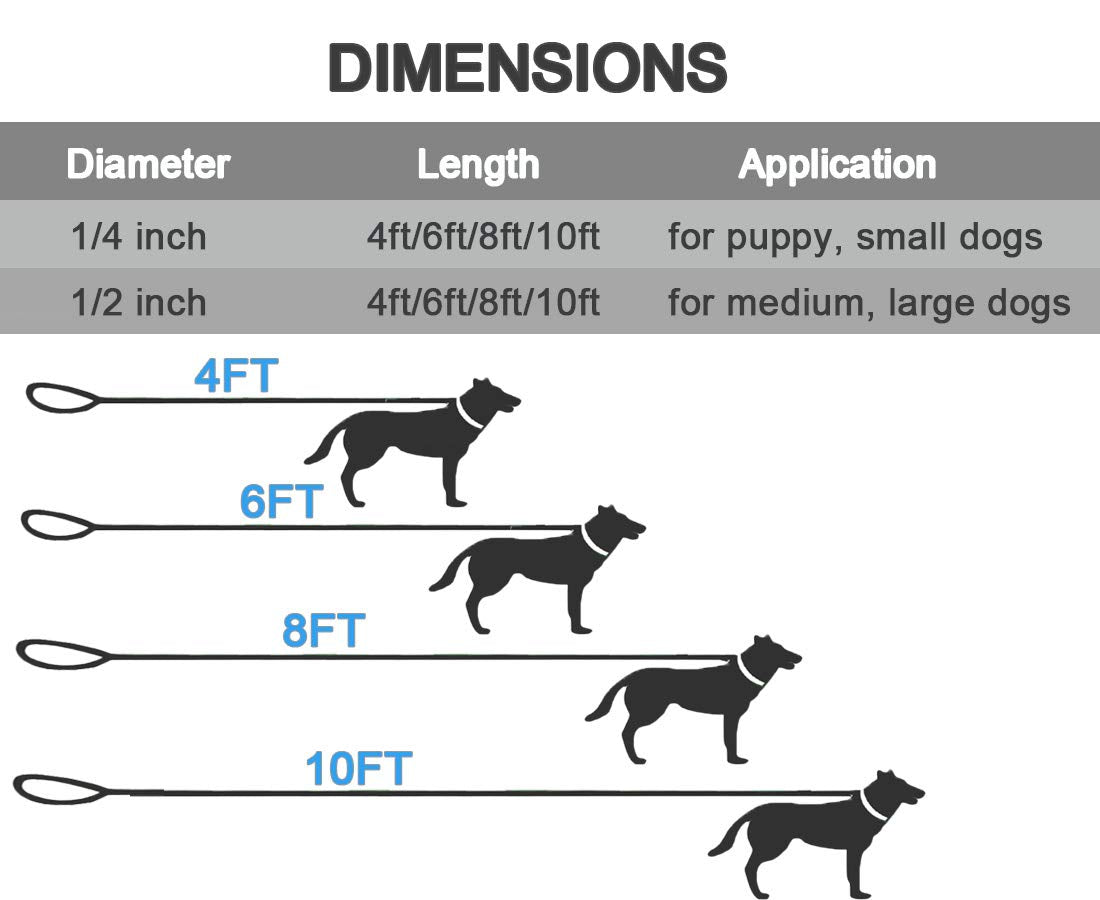 Maypaw 4/6 /8/10 Ft Dog Leash, Classic Solid Colors, Strong Nylon Rope Leash Reinforced With Leather Tailor Connection Heavy Dut