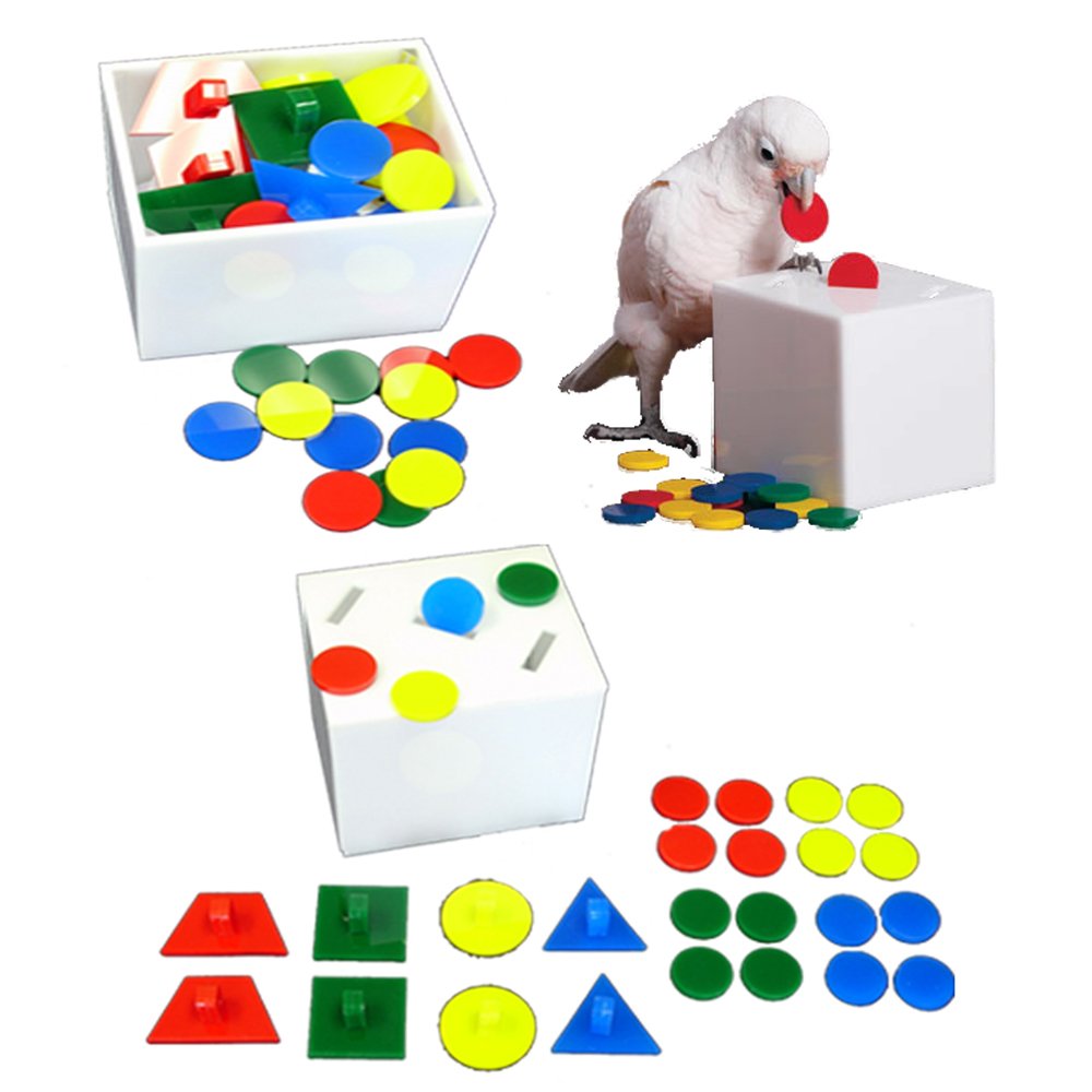 Zoo-Max Teach Box And Bank Bird Toys, Large