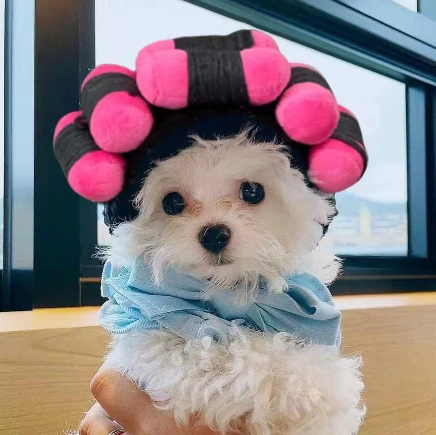 Spa Day Dog Halloween Costume Cosplay Wig, Curly Hair Pet Cat Wigs For Halloween Parties Dog Hats Wigs For Small Medium And Larg